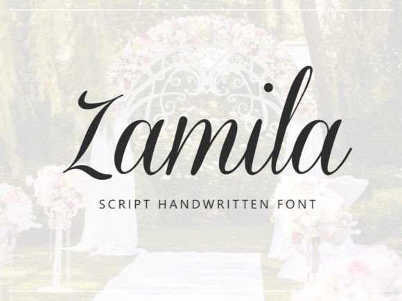 The Art of Elegant Script: Discovering Zamila Font